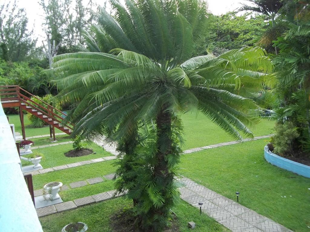 Palm Garden Hotel Barbados