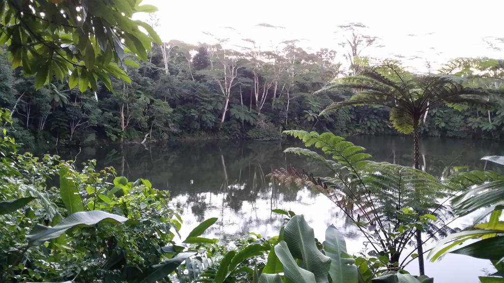 Colo-i-suva Rainforest Eco Resort