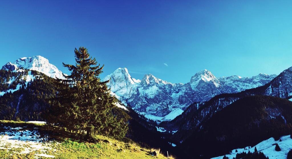 Le Vieux Chalet