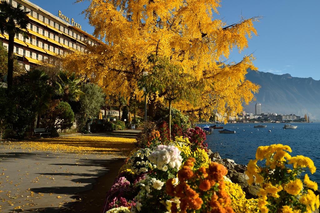 Royal Plaza Montreux and Spa