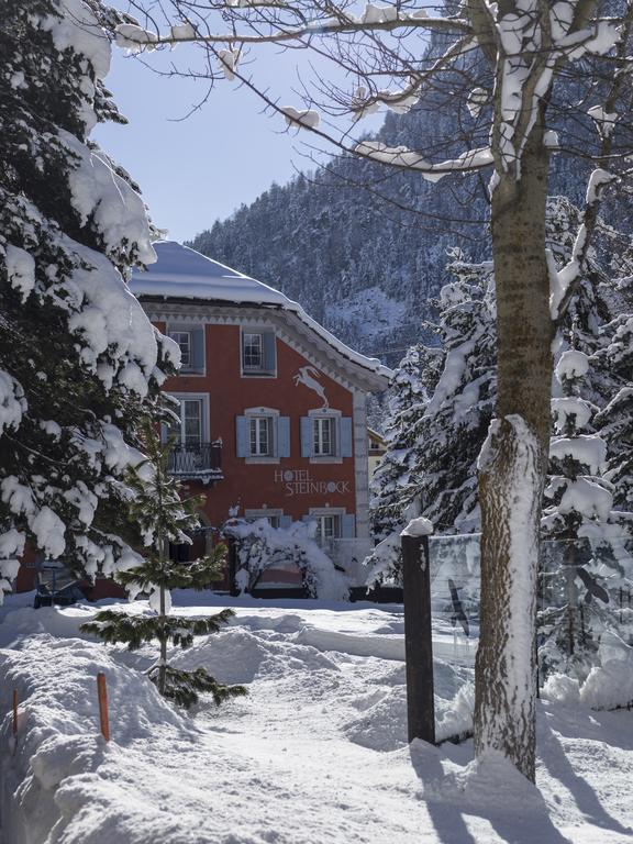 Hotel Steinbock