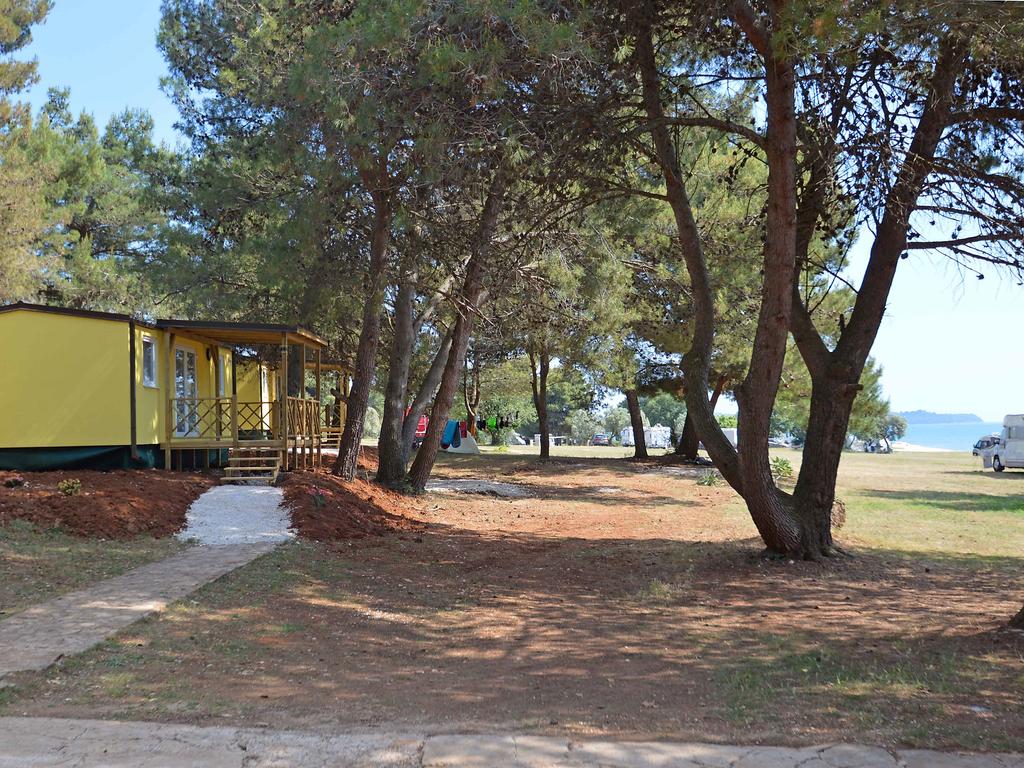 Camping Pineta 1